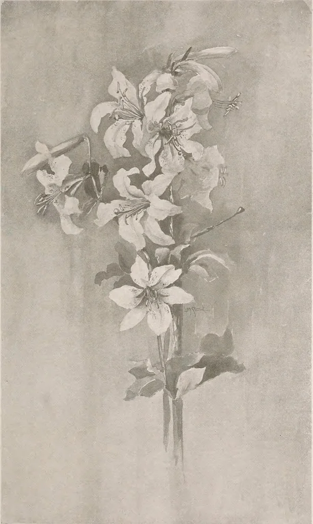 An illustration from Keramic studio, 1899, leaf 128