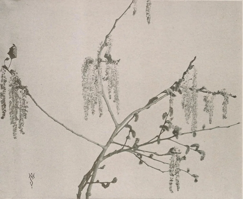 An illustration from Keramic studio, 1899, leaf 129