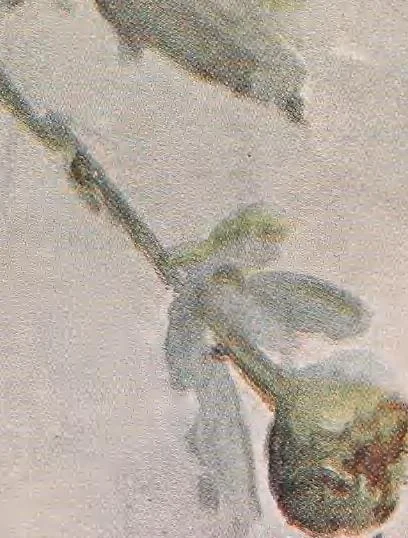 An illustration from Keramic studio, 1899, leaf 130