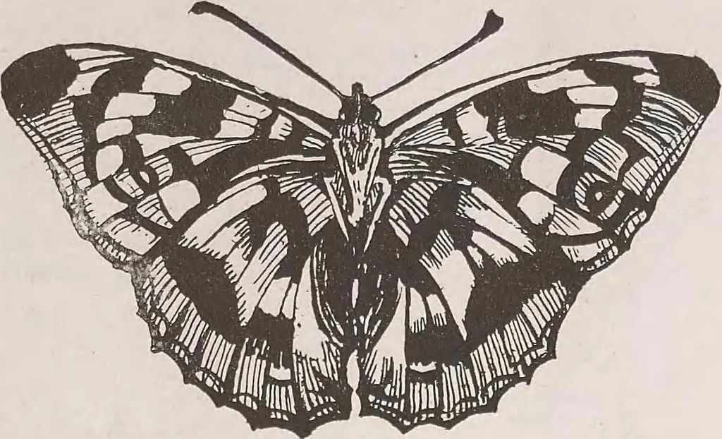 An illustration from Keramic studio, 1899, leaf 134