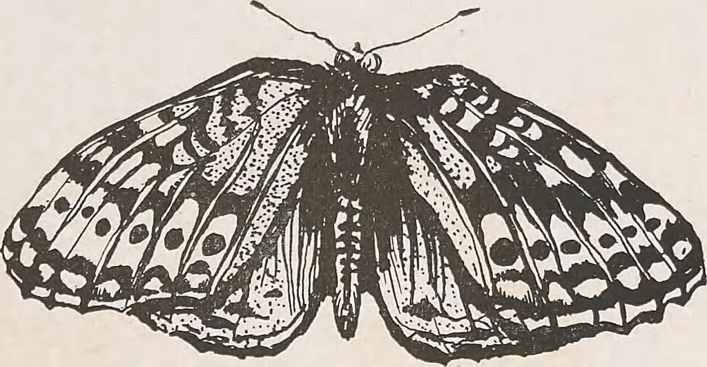 An illustration from Keramic studio, 1899, leaf 134