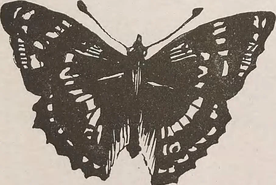 An illustration from Keramic studio, 1899, leaf 134