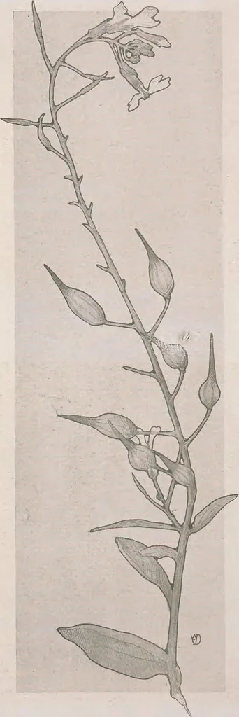 An illustration from Keramic studio, 1899, leaf 137