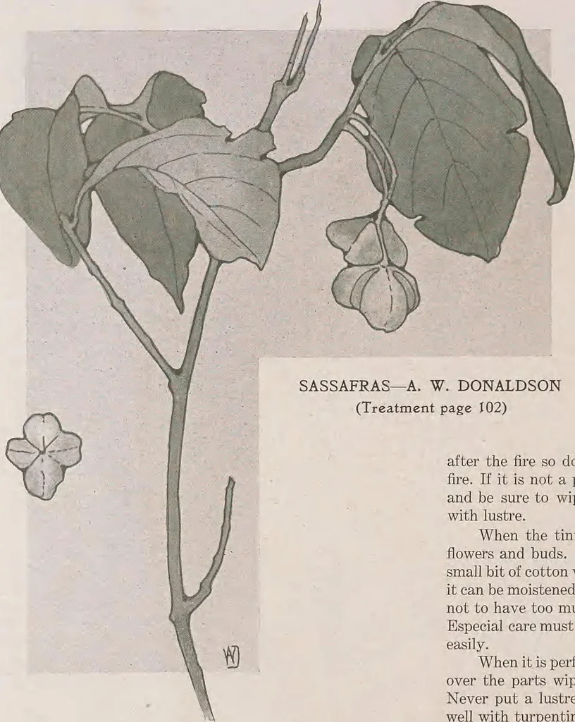 An illustration from Keramic studio, 1899, leaf 143