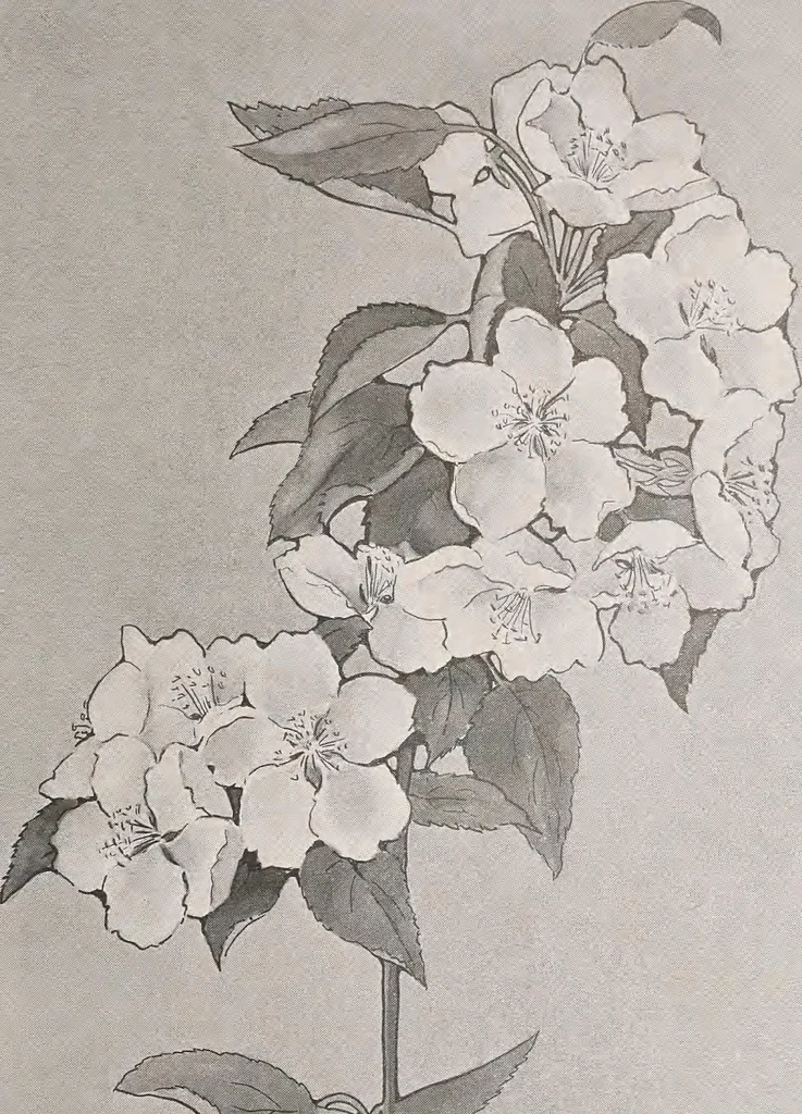 An illustration from Keramic studio, 1899, leaf 16