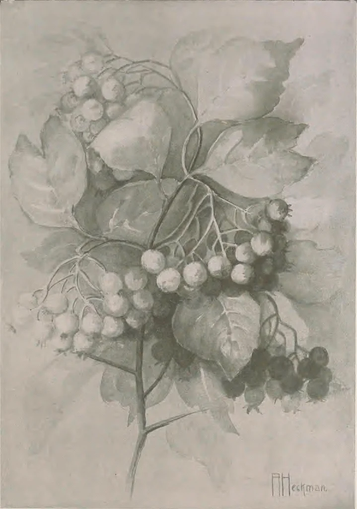 An illustration from Keramic studio, 1899, leaf 178