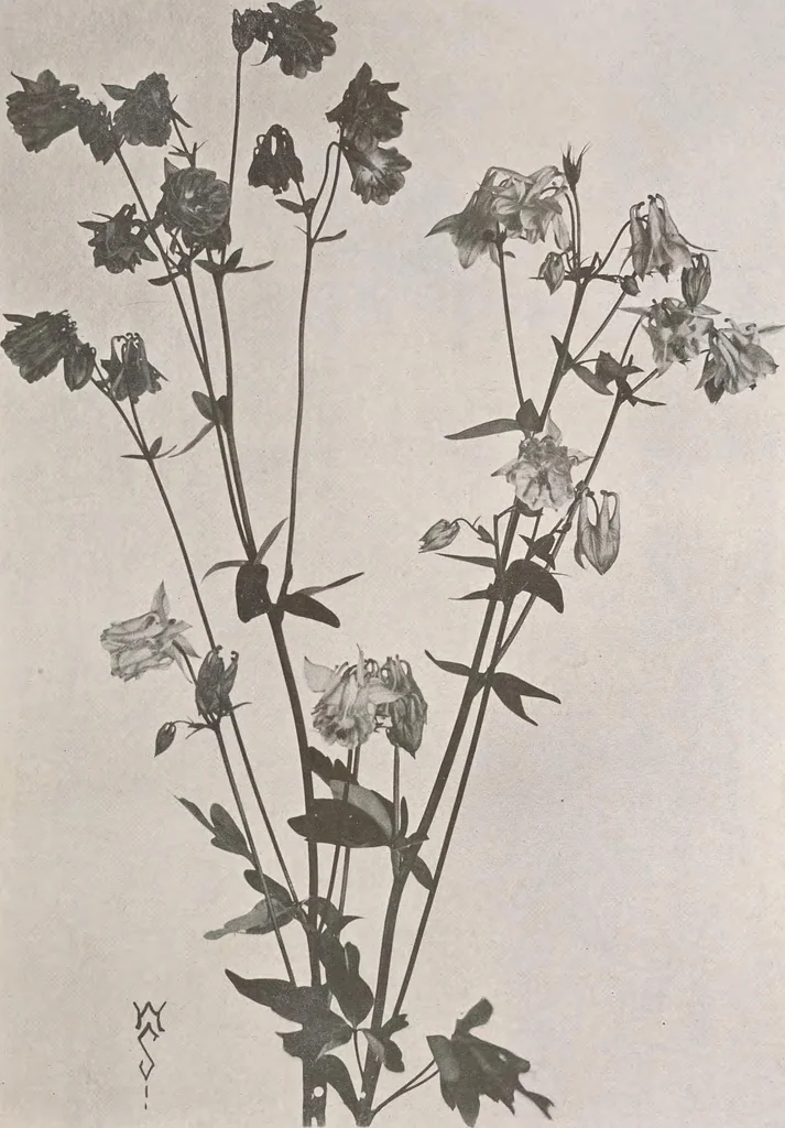 An illustration from Keramic studio, 1899, leaf 180