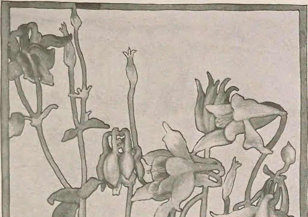 An illustration from Keramic studio, 1899, leaf 184