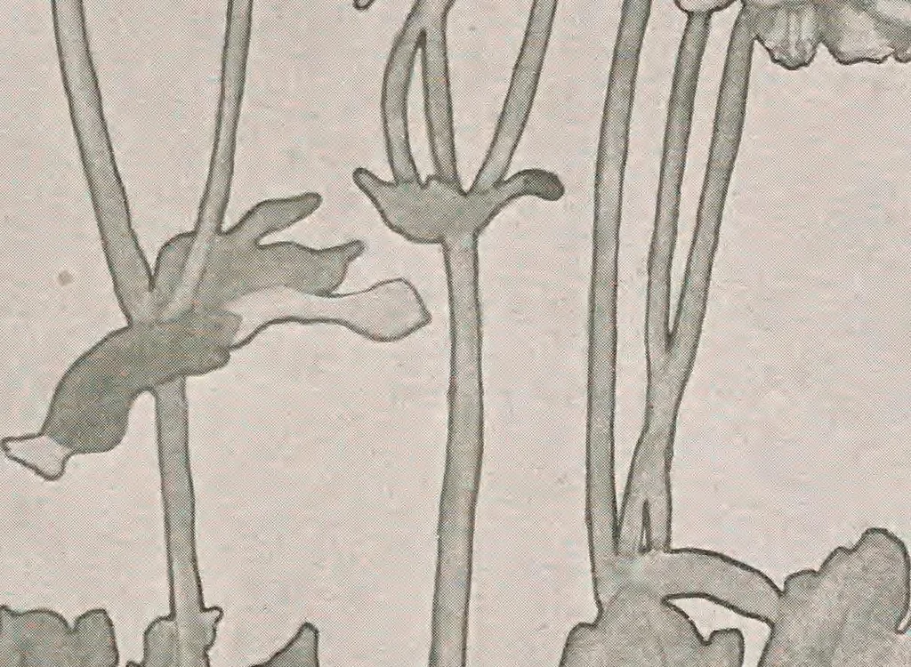 An illustration from Keramic studio, 1899, leaf 184