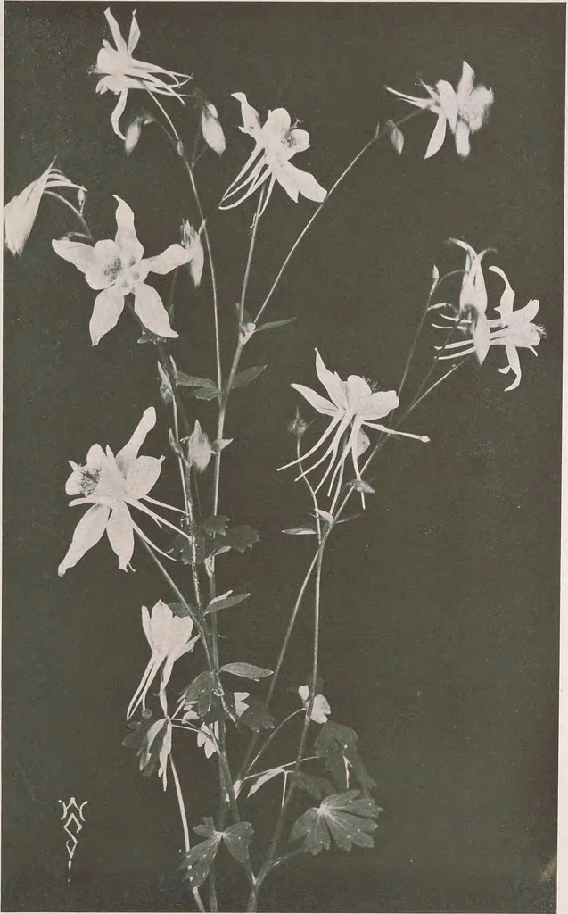 An illustration from Keramic studio, 1899, leaf 190