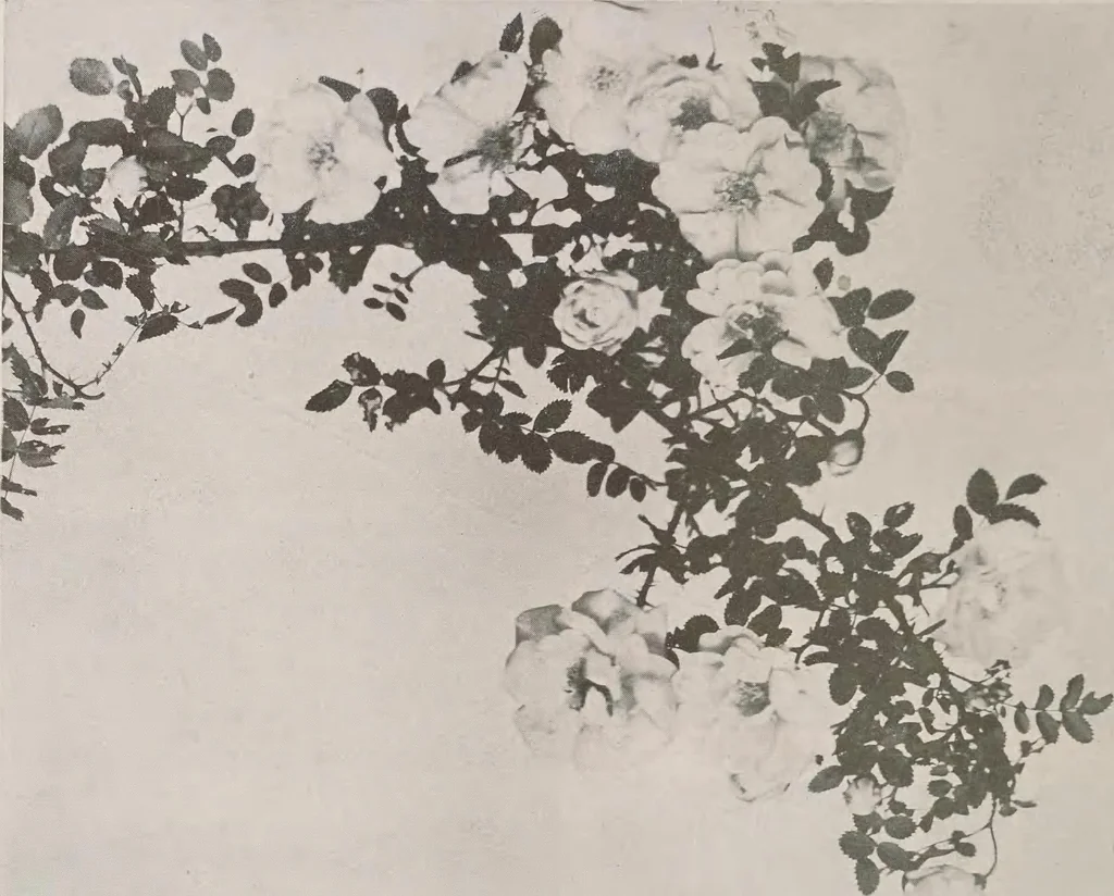An illustration from Keramic studio, 1899, leaf 197