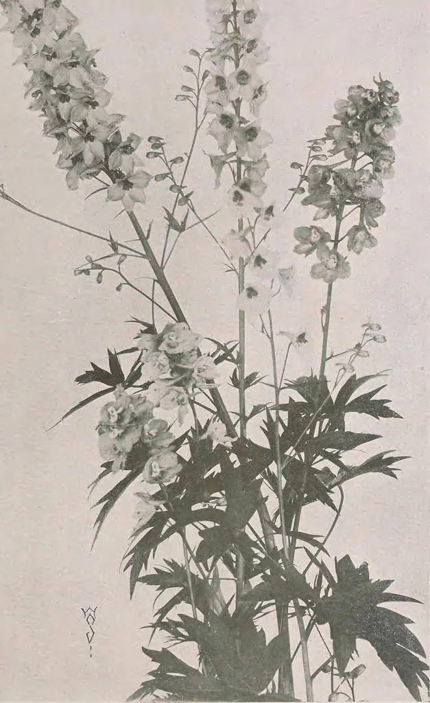 An illustration from Keramic studio, 1899, leaf 208