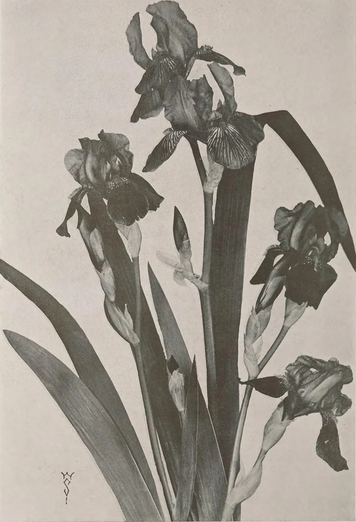 An illustration from Keramic studio, 1899, leaf 241