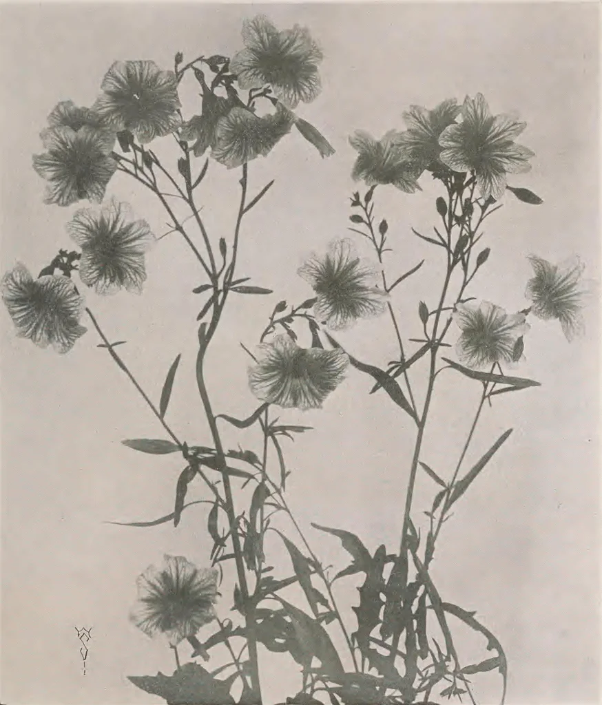 An illustration from Keramic studio, 1899, leaf 258