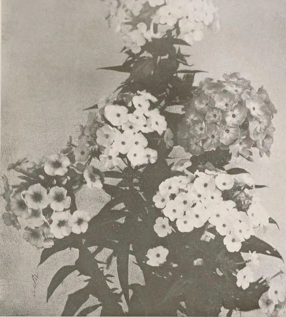 An illustration from Keramic studio, 1899, leaf 270