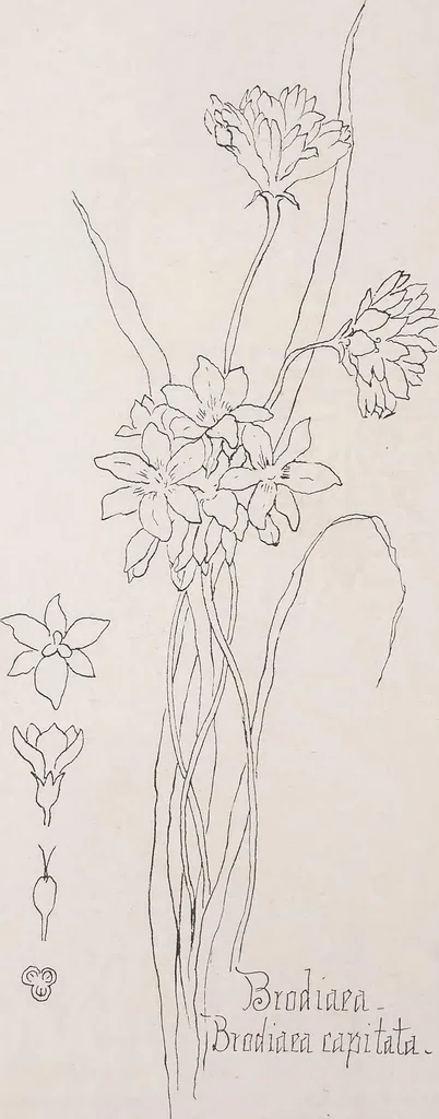 An illustration from Keramic studio, 1899, leaf 291