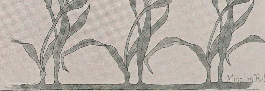 An illustration from Keramic studio, 1899, leaf 291