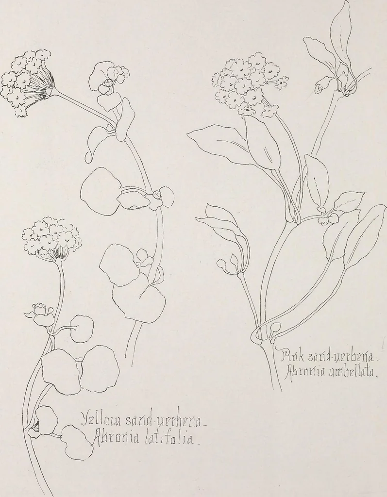 An illustration from Keramic studio, 1899, leaf 293