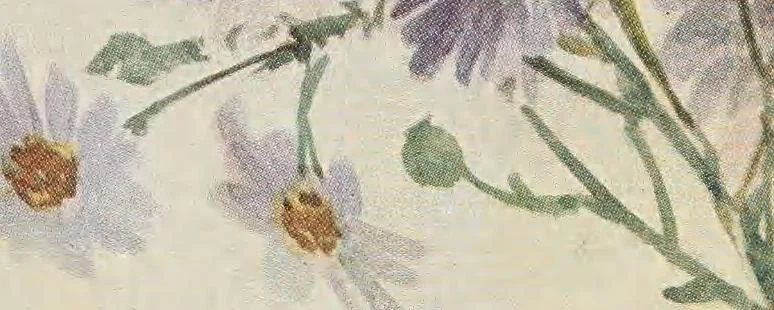 An illustration from Keramic studio, 1899, leaf 298