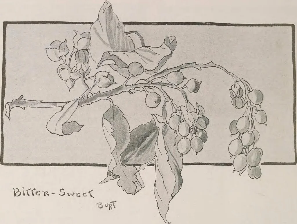 An illustration from Keramic studio, 1899, leaf 301