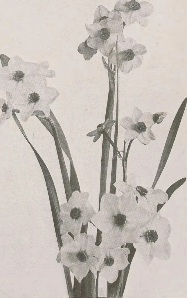An illustration from Keramic studio, 1899, leaf 309