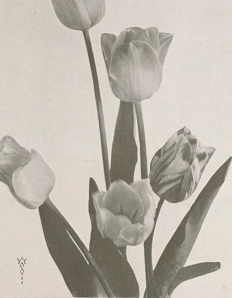 An illustration from Keramic studio, 1899, leaf 316