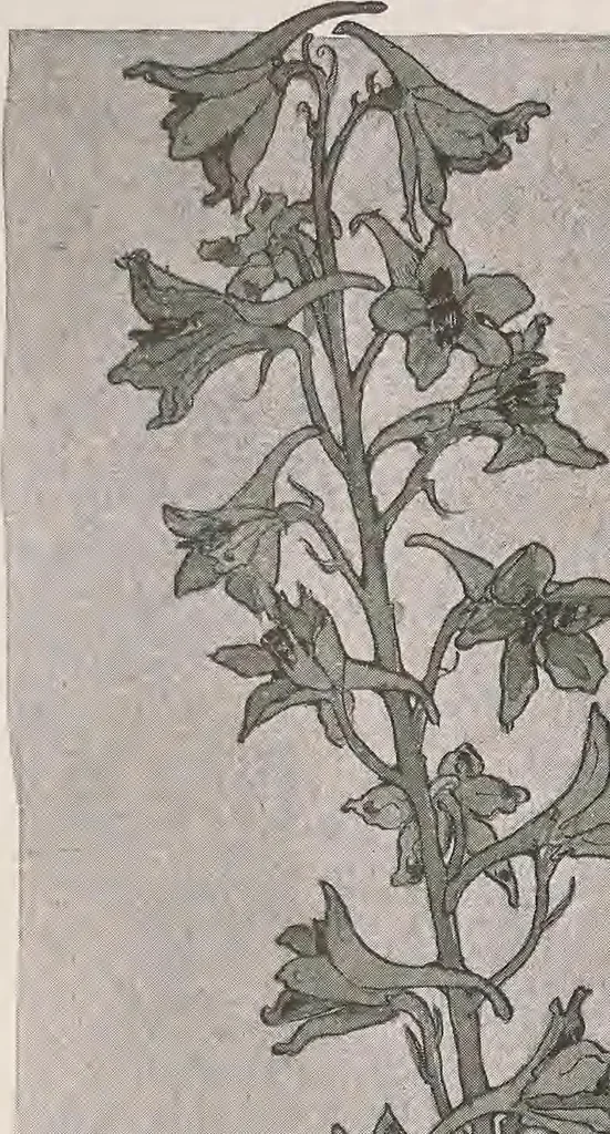 An illustration from Keramic studio, 1899, leaf 32