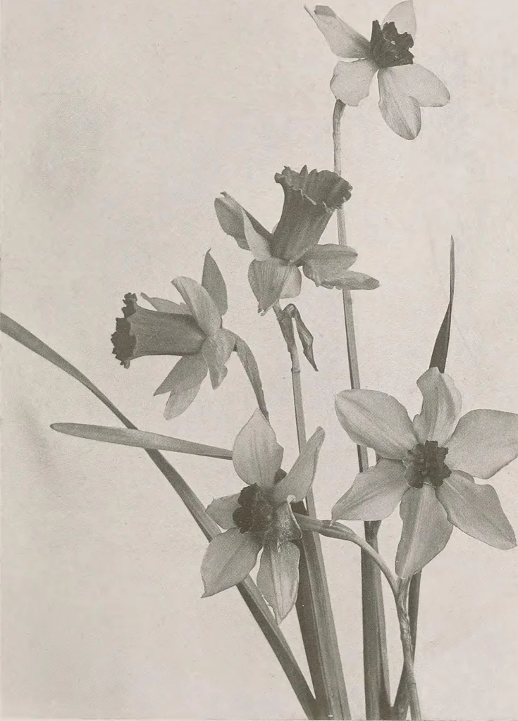 An illustration from Keramic studio, 1899, leaf 324