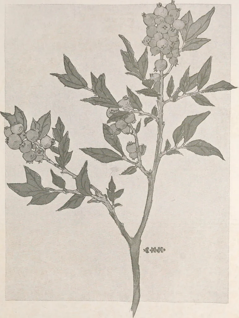 An illustration from Keramic studio, 1899, leaf 36
