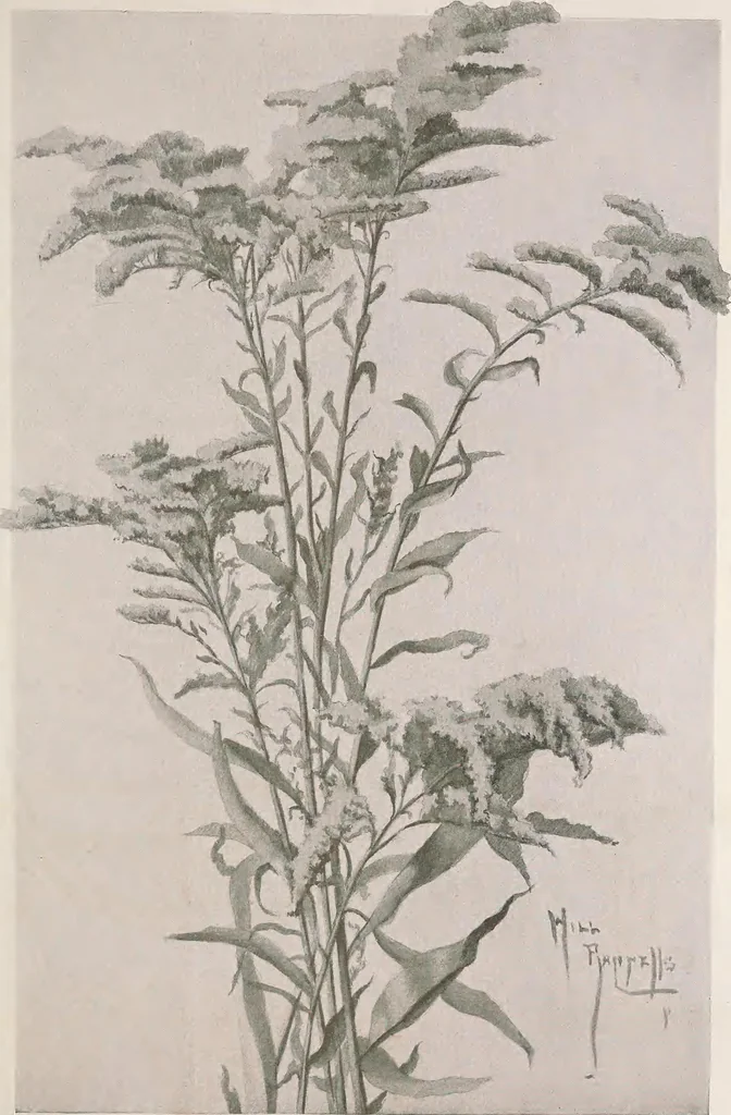 An illustration from Keramic studio, 1899, leaf 56
