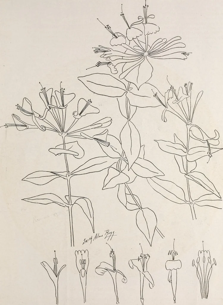 An illustration from Keramic studio, 1899, leaf 64