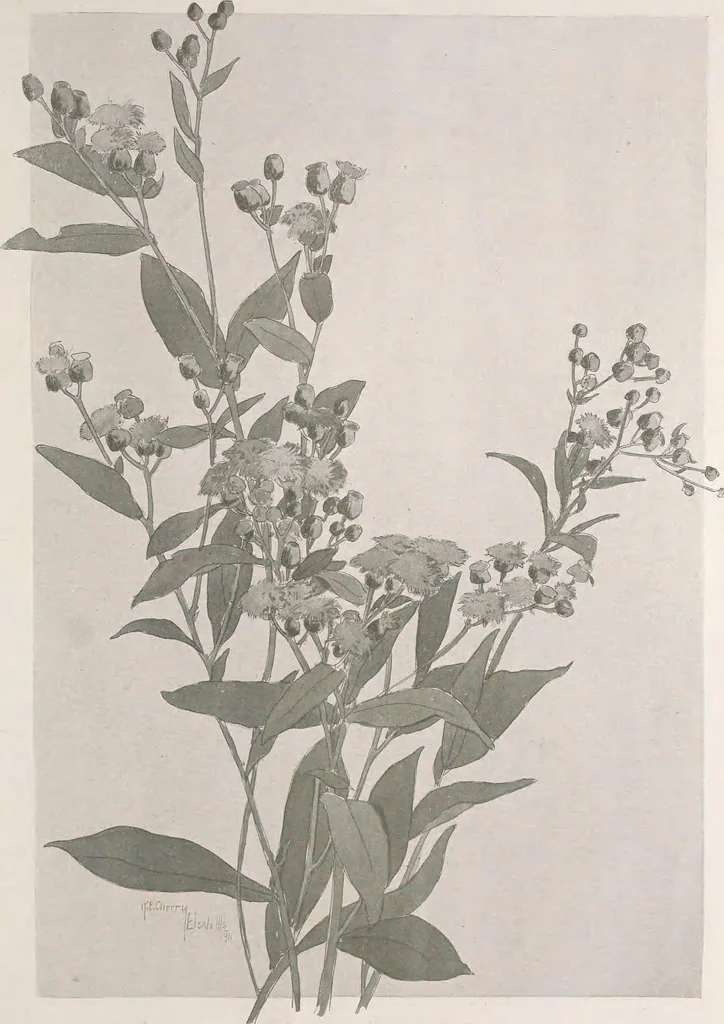 An illustration from Keramic studio, 1899, leaf 72