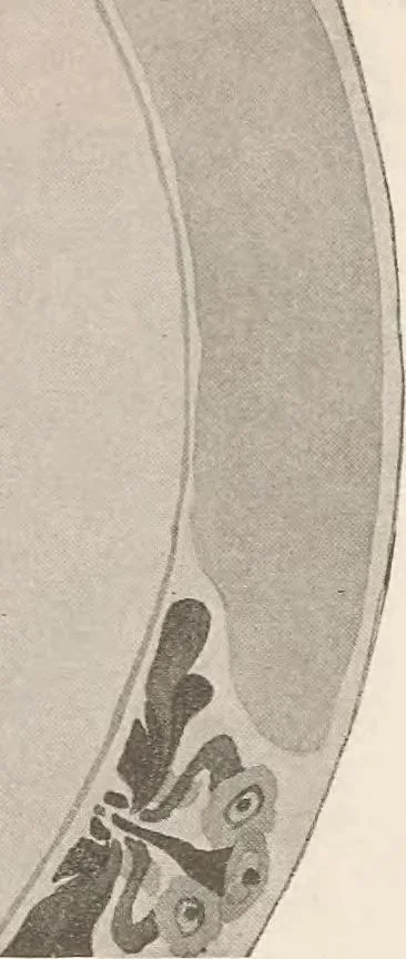 An illustration from Keramic studio, 1899, leaf 123