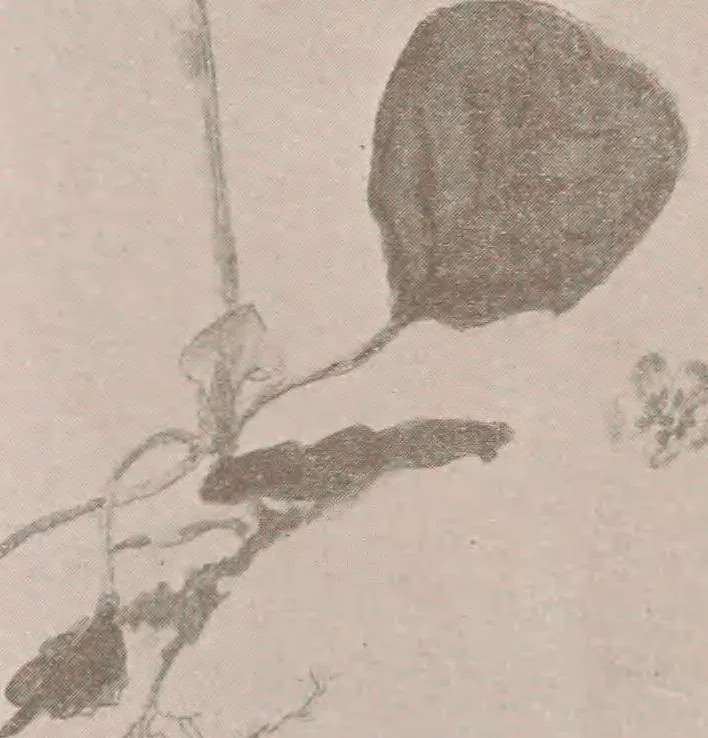 An illustration from Keramic studio, 1899, leaf 180