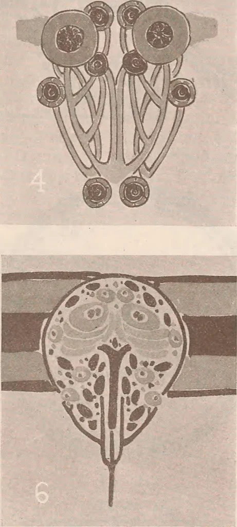 An illustration from Keramic studio, 1899, leaf 227
