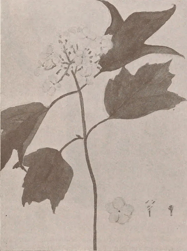 An illustration from Keramic studio, 1899, leaf 234