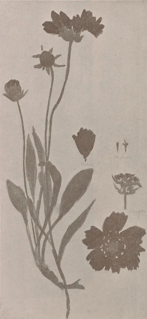 An illustration from Keramic studio, 1899, leaf 234