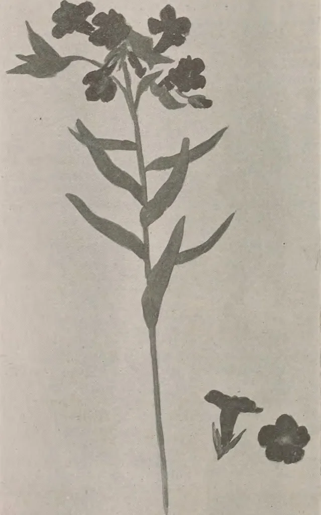 An illustration from Keramic studio, 1899, leaf 56