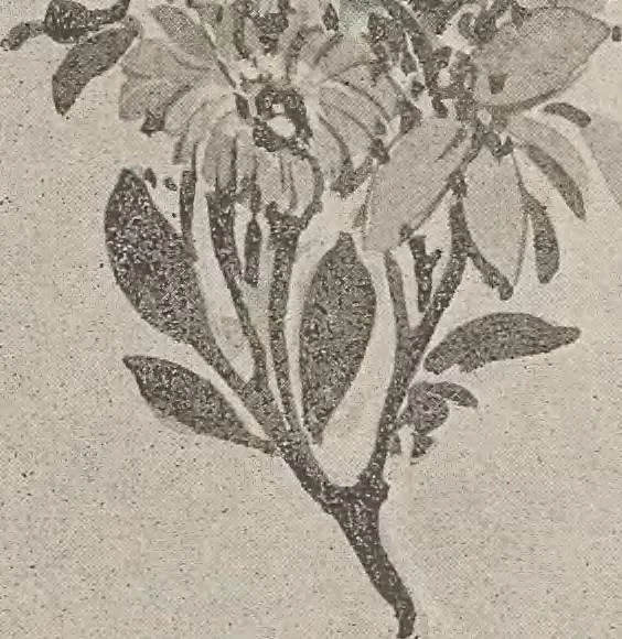 An illustration from Keramic studio, 1899, leaf 95