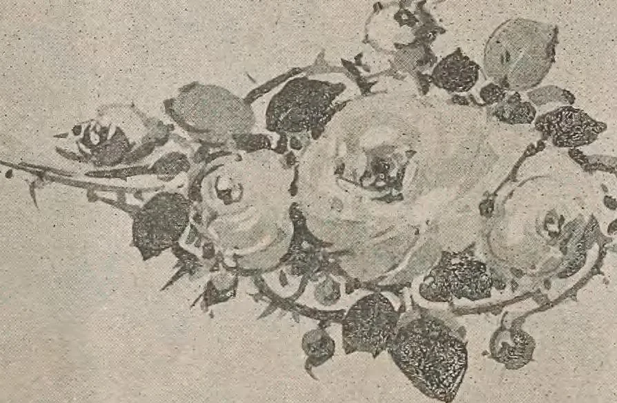 An illustration from Keramic studio, 1899, leaf 95