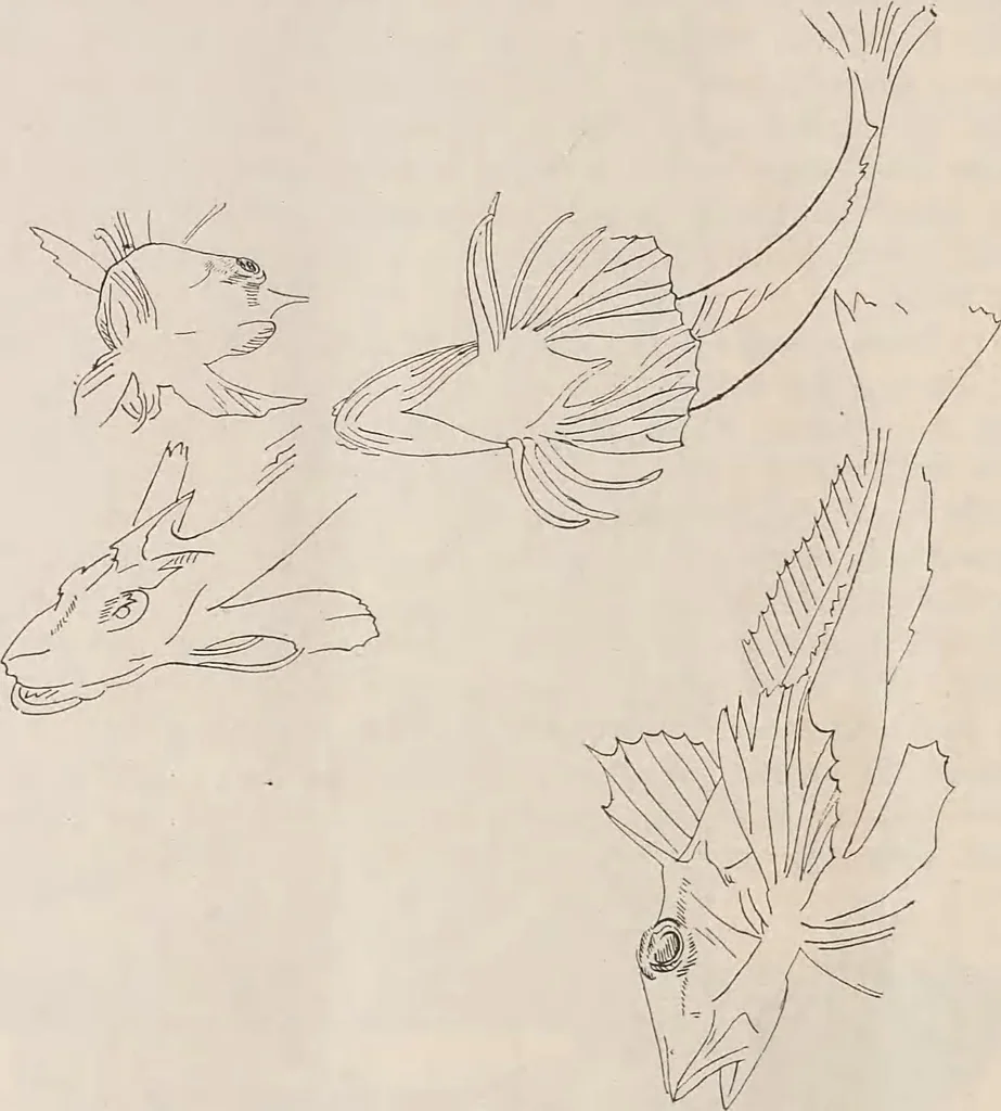 An illustration from Keramic studio, 1899, leaf 98