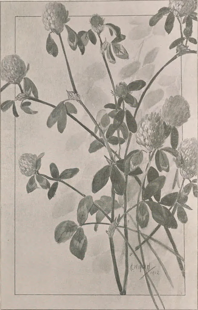 An illustration from Keramic studio, 1899, leaf 110