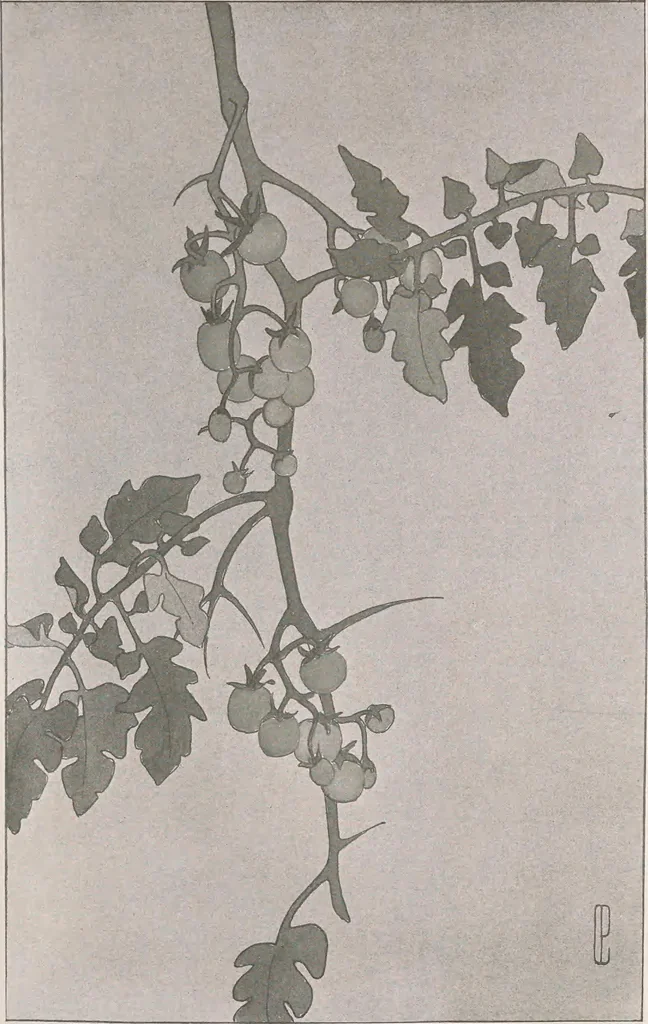An illustration from Keramic studio, 1899, leaf 114