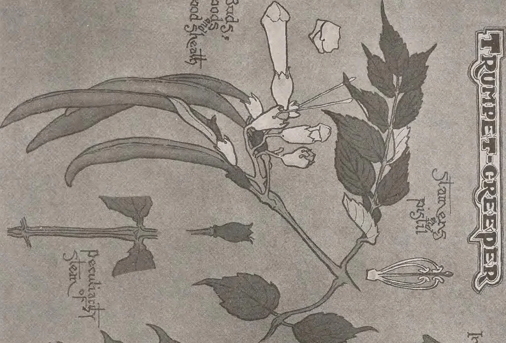 An illustration from Keramic studio, 1899, leaf 128