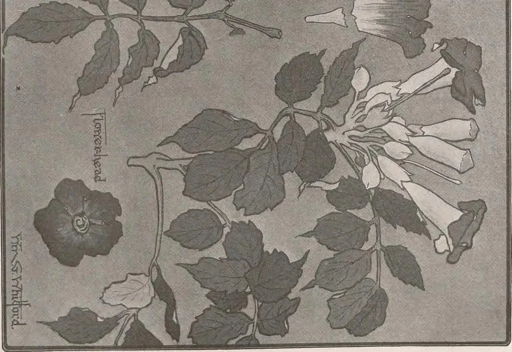 An illustration from Keramic studio, 1899, leaf 128
