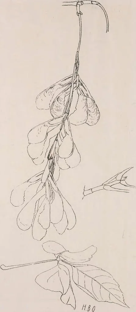 An illustration from Keramic studio, 1899, leaf 129