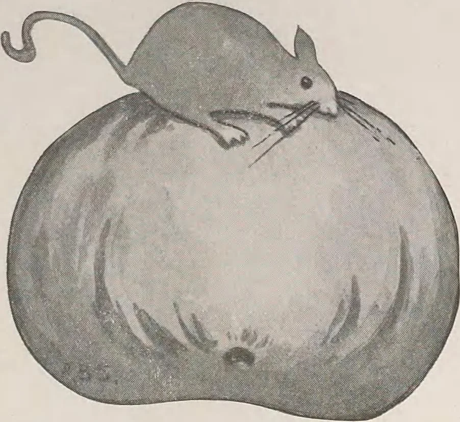 An illustration from Keramic studio, 1899, leaf 174
