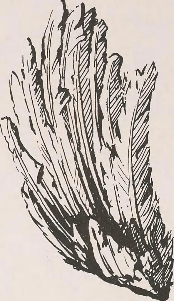 An illustration from Keramic studio, 1899, leaf 193