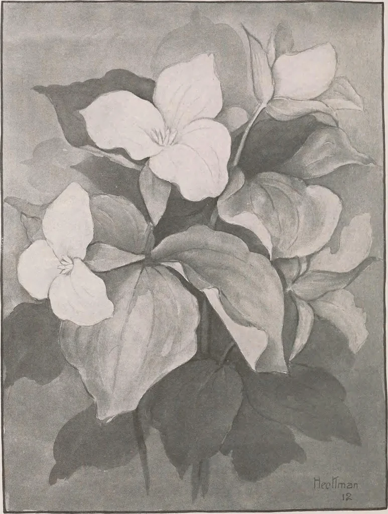 An illustration from Keramic studio, 1899, leaf 195