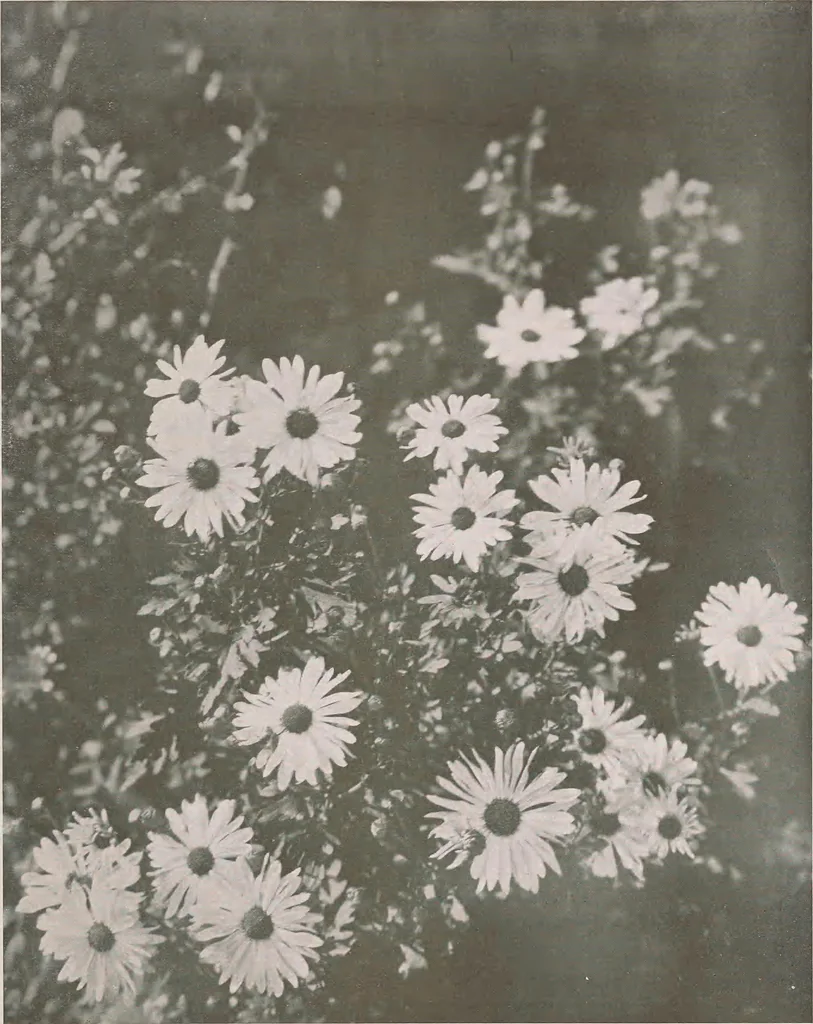 An illustration from Keramic studio, 1899, leaf 20